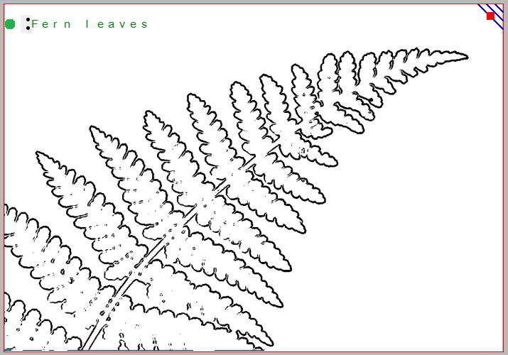 Tactile image of a fern