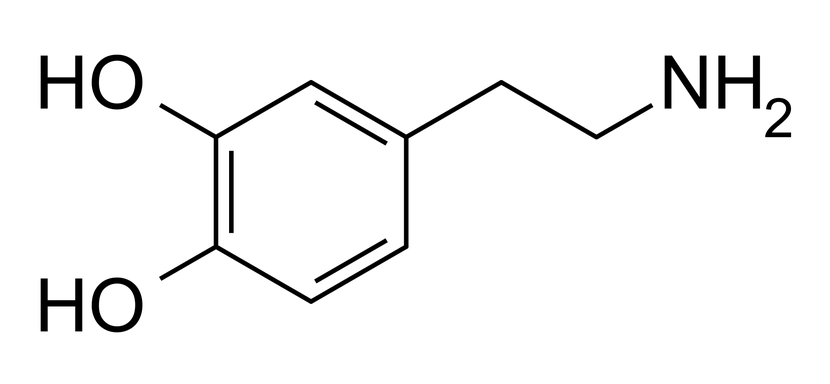 Molecular structure of dopamine