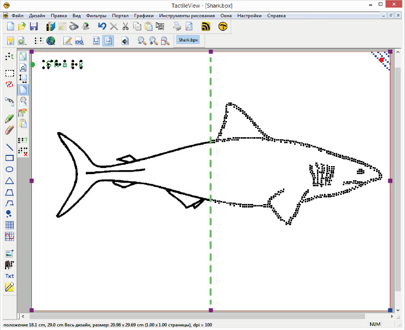 Линейное изображение акулы (слева) и точечный вид